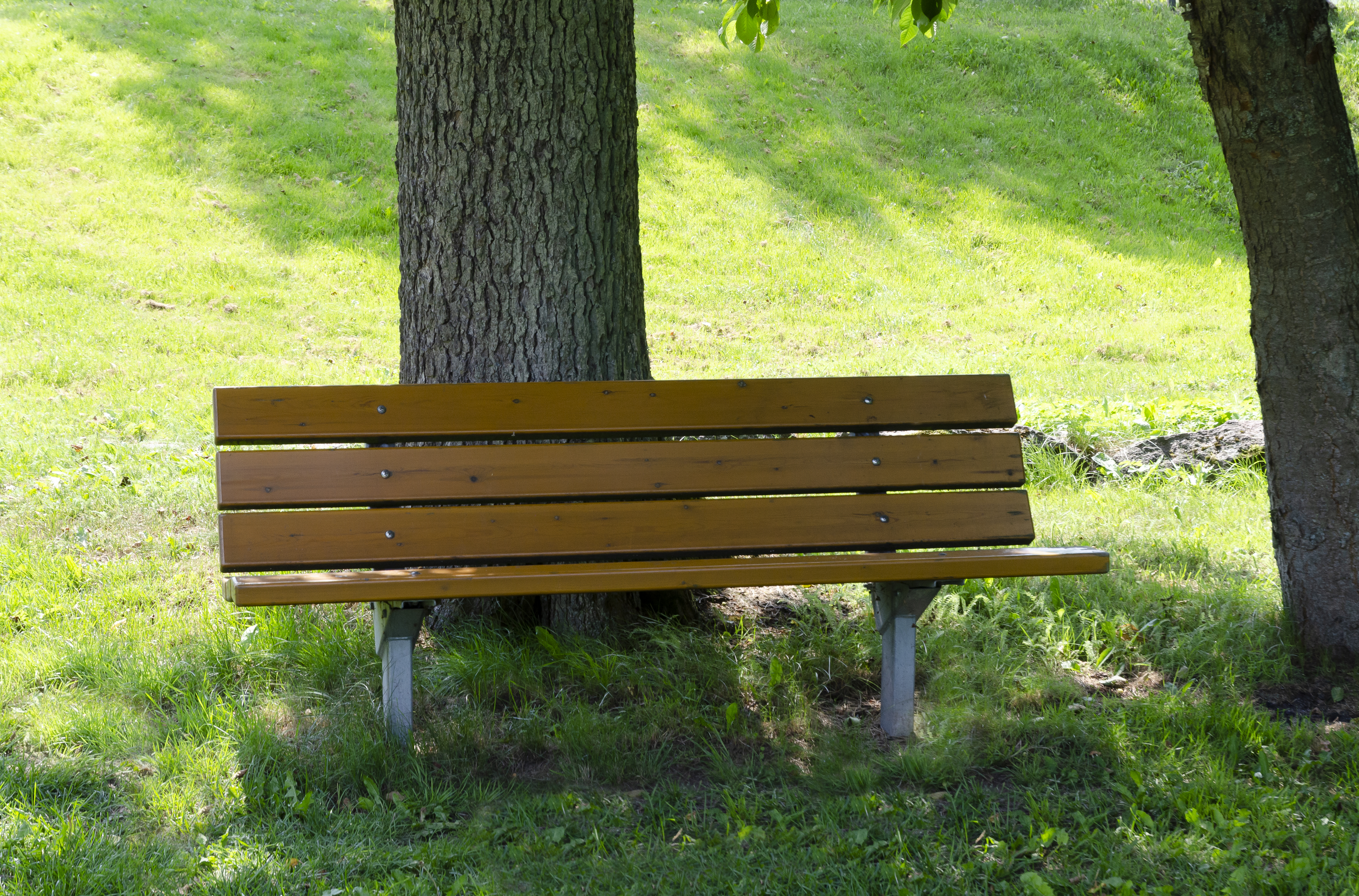 Parksofa Djurgården 